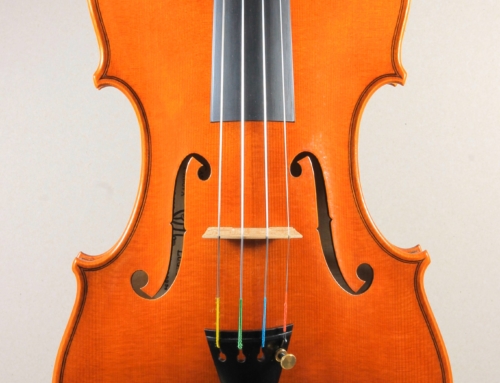 Violin Alberto Cassutti 2016