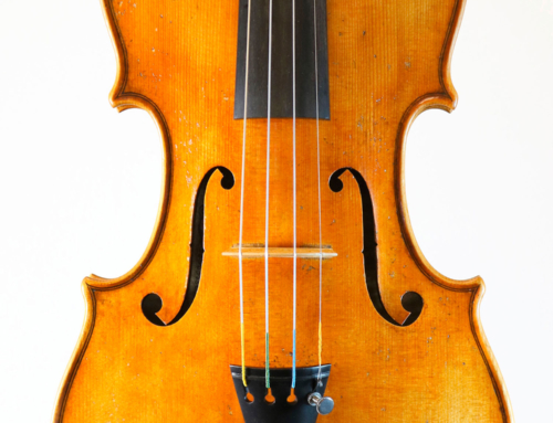 Violino Alberto Cassutti 2018