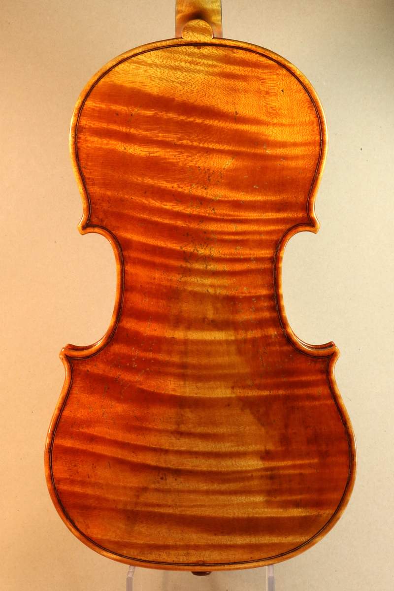 Flamed maple back of a new violin