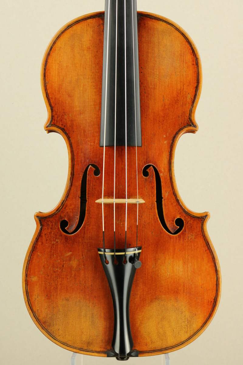 Front of a new violin
